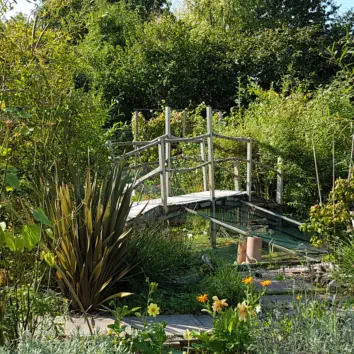 A wooden bridge over a pond at our horticulture and conservation project